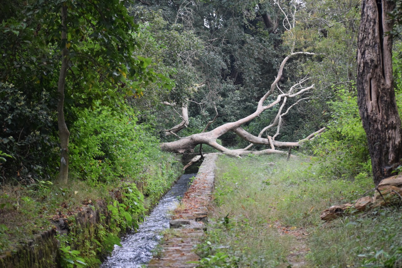 1N2D Untraveled Kaladhungi