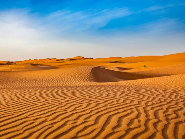 deserts