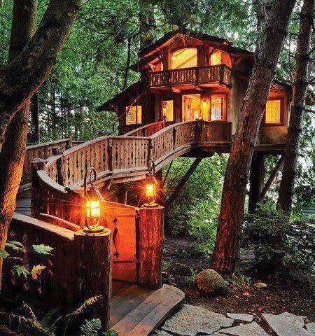 stay-in-tree-house
