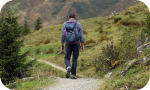 list destination, homestay or experience